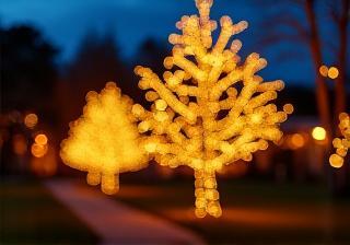 Beautiful outdoor festive lighting display illuminating a garden path
